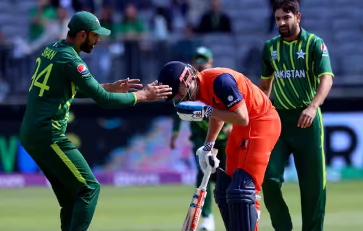 netherlands national cricket team vs pakistan national cricket team stats